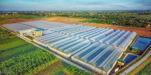 Doanh nghiệp có vốn đầu tư nước ngoài và việc sử dụng đất của hộ gia đình, cá nhân để thực hiện dự án đầu tư