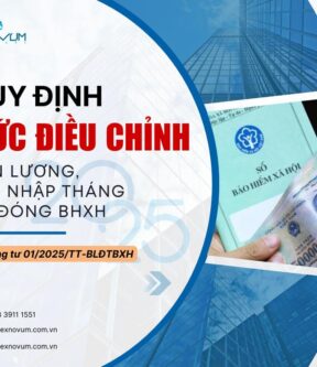 Quy định mức điều chỉnh tiền lương, thu nhập tháng đã đóng BHXH 2025