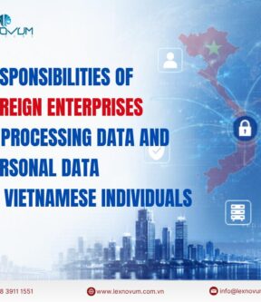 Responsibilities of foreign enterprises in processing data and personal data of Vietnamese individuals