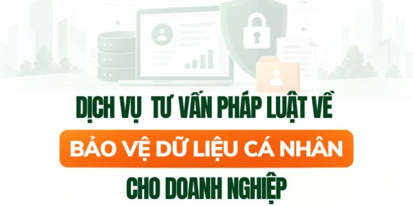 LexNovum Lawyers | Dịch vụ tư vấn pháp luật về bảo vệ dữ liệu cá nhân cho doanh nghiệp